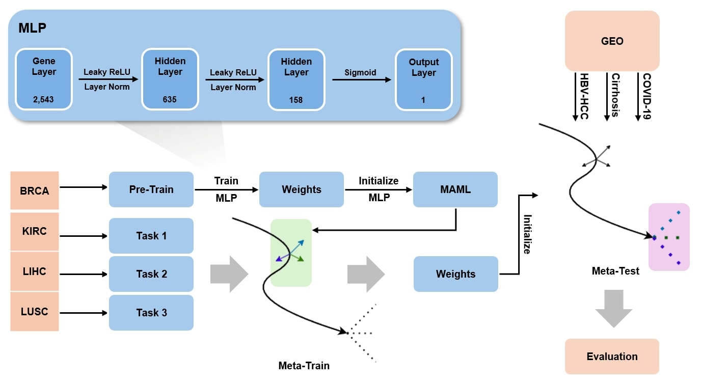 MAML-based model overview
